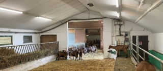 Ledvance mejora las condiciones lumínicas de una instalación agrícola en Francia
