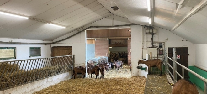 Ledvance mejora las condiciones lumínicas de una instalación agrícola en Francia